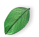 https://sparklesandglitters.com/wp-content/uploads/2025/07/floating_leaf_01.png